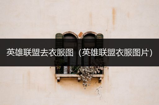 英雄联盟去衣服图（英雄联盟衣服图片）