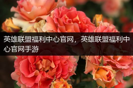 英雄联盟福利中心官网，英雄联盟福利中心官网手游