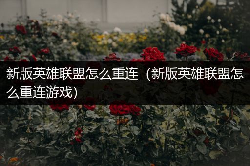 新版英雄联盟怎么重连（新版英雄联盟怎么重连游戏）