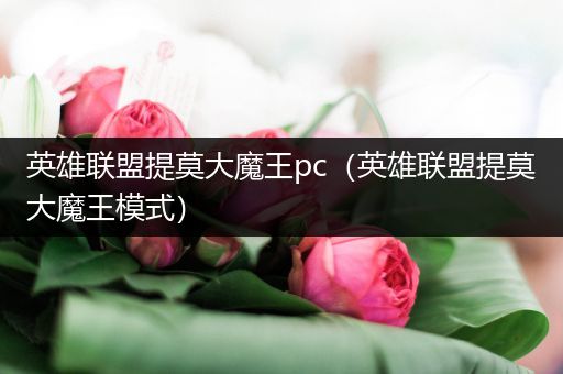 英雄联盟提莫大魔王pc（英雄联盟提莫大魔王模式）