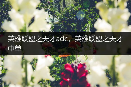 英雄联盟之天才adc，英雄联盟之天才中单