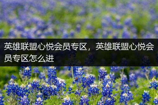 英雄联盟心悦会员专区，英雄联盟心悦会员专区怎么进