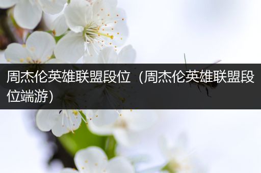 周杰伦英雄联盟段位（周杰伦英雄联盟段位端游）