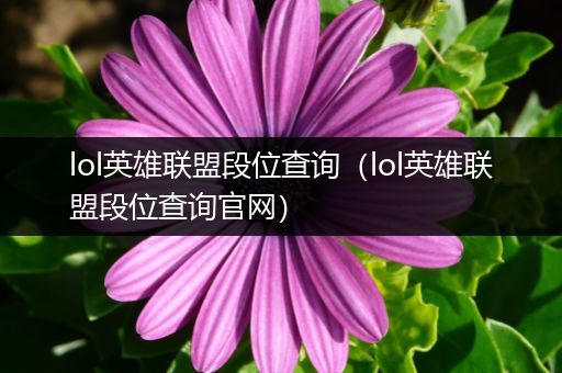 lol英雄联盟段位查询（lol英雄联盟段位查询官网）