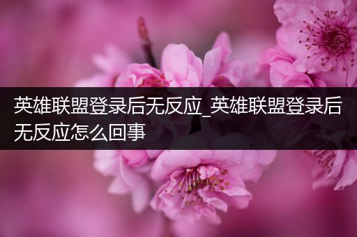 英雄联盟登录后无反应_英雄联盟登录后无反应怎么回事