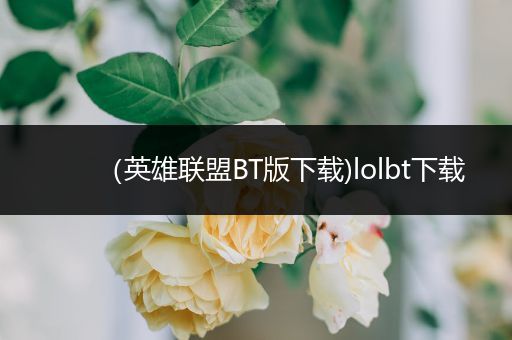 （英雄联盟BT版下载)lolbt下载