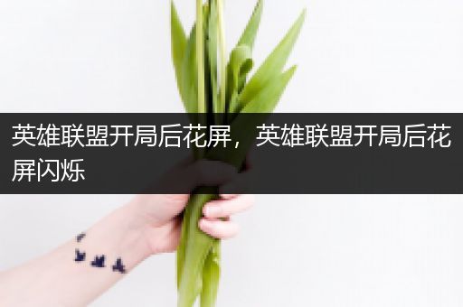 英雄联盟开局后花屏，英雄联盟开局后花屏闪烁