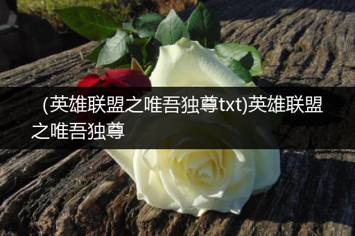 （英雄联盟之唯吾独尊txt)英雄联盟之唯吾独尊