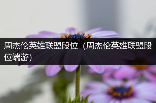 周杰伦英雄联盟段位（周杰伦英雄联盟段位端游）