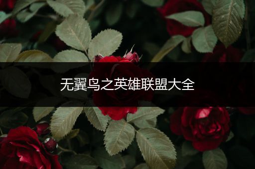 无翼鸟之英雄联盟大全