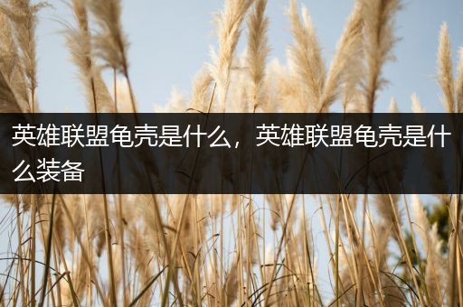 英雄联盟龟壳是什么，英雄联盟龟壳是什么装备