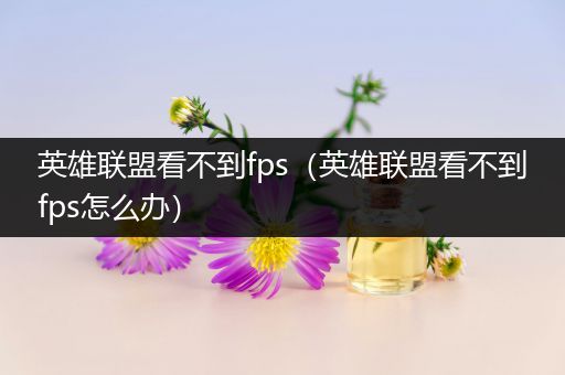 英雄联盟看不到fps（英雄联盟看不到fps怎么办）