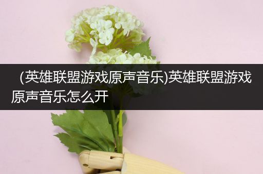 （英雄联盟游戏原声音乐)英雄联盟游戏原声音乐怎么开