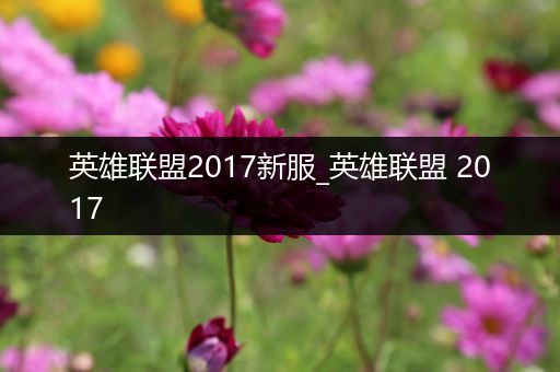 英雄联盟2017新服_英雄联盟 2017