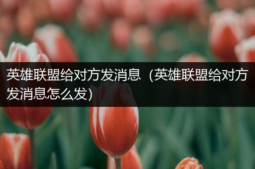 英雄联盟给对方发消息（英雄联盟给对方发消息怎么发）