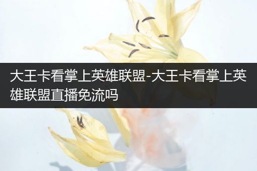 大王卡看掌上英雄联盟-大王卡看掌上英雄联盟直播免流吗