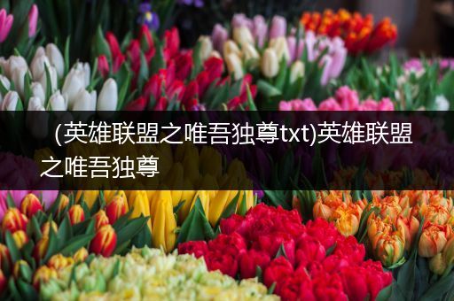 （英雄联盟之唯吾独尊txt)英雄联盟之唯吾独尊