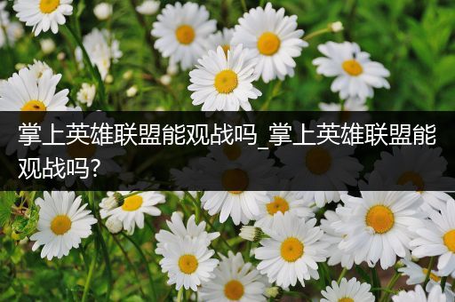 掌上英雄联盟能观战吗_掌上英雄联盟能观战吗?