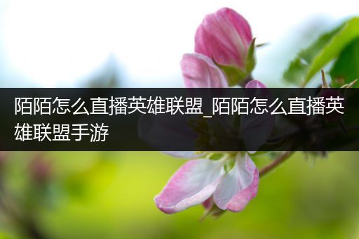 陌陌怎么直播英雄联盟_陌陌怎么直播英雄联盟手游