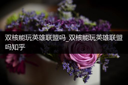 双核能玩英雄联盟吗_双核能玩英雄联盟吗知乎