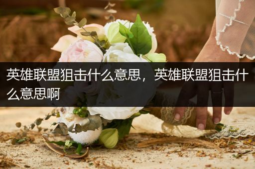 英雄联盟狙击什么意思，英雄联盟狙击什么意思啊