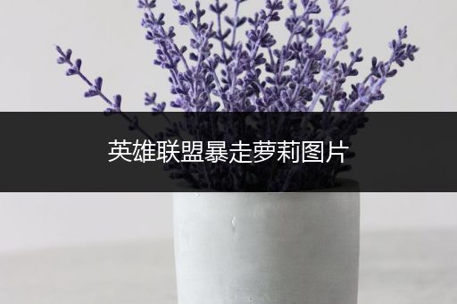 英雄联盟暴走萝莉图片