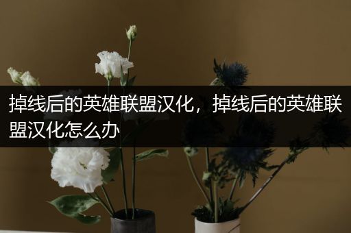 掉线后的英雄联盟汉化，掉线后的英雄联盟汉化怎么办