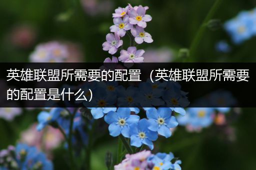 英雄联盟所需要的配置（英雄联盟所需要的配置是什么）