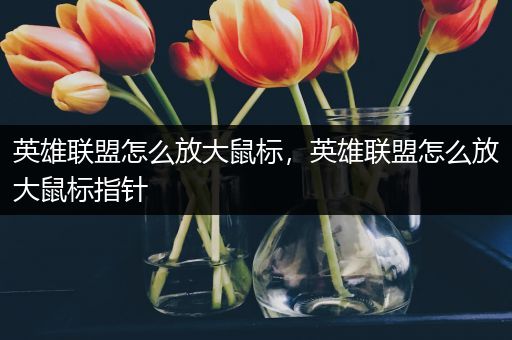 英雄联盟怎么放大鼠标，英雄联盟怎么放大鼠标指针