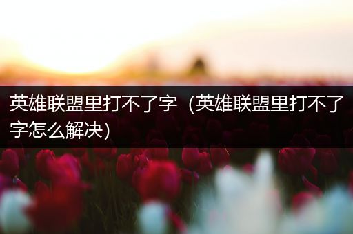 英雄联盟里打不了字（英雄联盟里打不了字怎么解决）