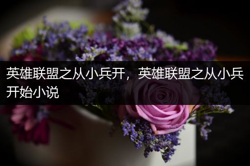 英雄联盟之从小兵开，英雄联盟之从小兵开始小说