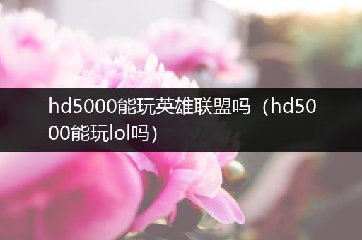 hd5000能玩英雄联盟吗（hd5000能玩lol吗）