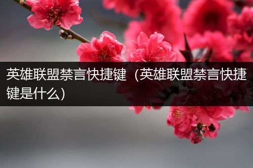 英雄联盟禁言快捷键（英雄联盟禁言快捷键是什么）