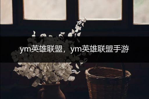 ym英雄联盟，ym英雄联盟手游