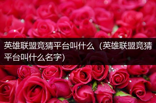 英雄联盟竞猜平台叫什么（英雄联盟竞猜平台叫什么名字）