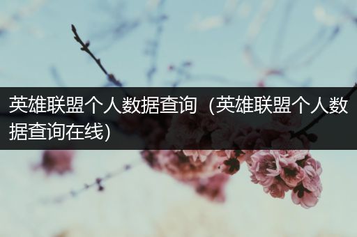 英雄联盟个人数据查询（英雄联盟个人数据查询在线）