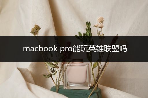 macbook pro能玩英雄联盟吗