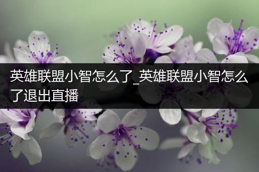 英雄联盟小智怎么了_英雄联盟小智怎么了退出直播