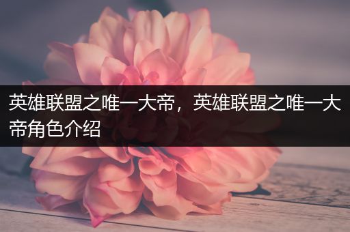 英雄联盟之唯一大帝，英雄联盟之唯一大帝角色介绍