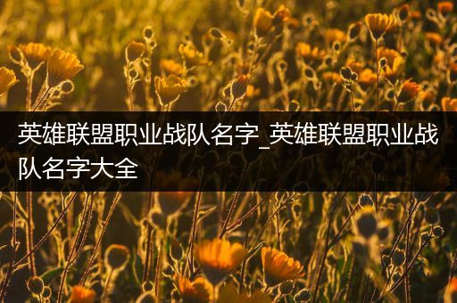 英雄联盟职业战队名字_英雄联盟职业战队名字大全