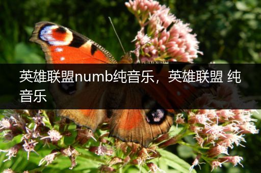 英雄联盟numb纯音乐，英雄联盟 纯音乐