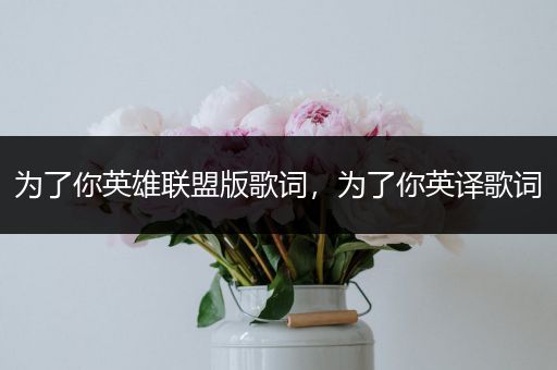 为了你英雄联盟版歌词，为了你英译歌词