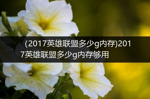 （2017英雄联盟多少g内存)2017英雄联盟多少g内存够用