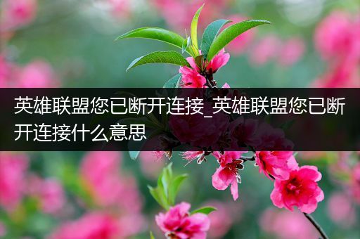 英雄联盟您已断开连接_英雄联盟您已断开连接什么意思