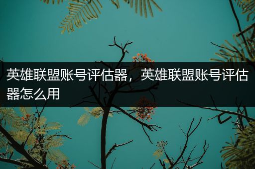 英雄联盟账号评估器，英雄联盟账号评估器怎么用