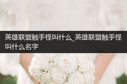 英雄联盟触手怪叫什么_英雄联盟触手怪叫什么名字