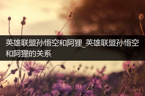 英雄联盟孙悟空和阿狸_英雄联盟孙悟空和阿狸的关系