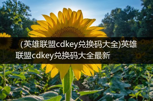 （英雄联盟cdkey兑换码大全)英雄联盟cdkey兑换码大全最新