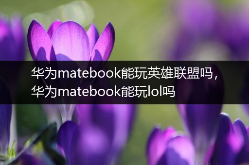 华为matebook能玩英雄联盟吗，华为matebook能玩lol吗