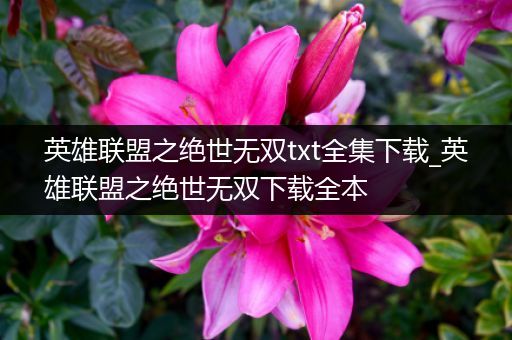 英雄联盟之绝世无双txt全集下载_英雄联盟之绝世无双下载全本